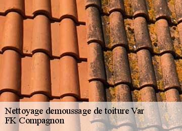 Nettoyage demoussage de toiture 83 Var  FK Compagnon
