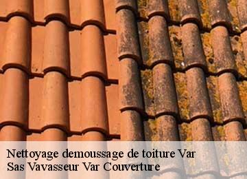 Nettoyage demoussage de toiture 83 Var Sas Vavasseur Var Couverture