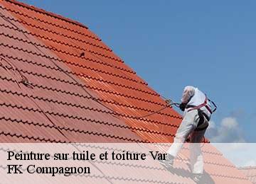 Peinture sur tuile et toiture 83 Var  FK Compagnon