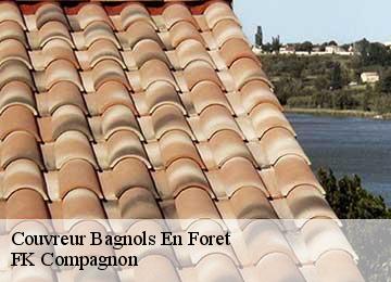 Couvreur  bagnols-en-foret-83600 FK Compagnon