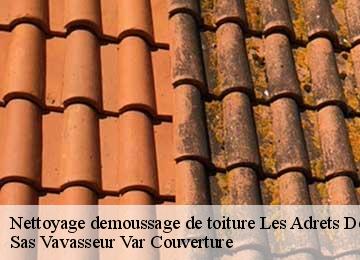 Nettoyage demoussage de toiture les-adrets-de-l-esterel-83600 Sas Vavasseur Var Couverture