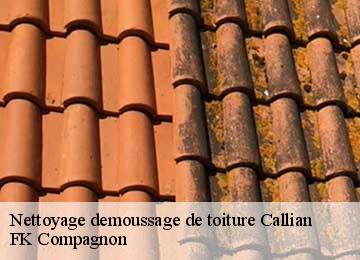 Nettoyage demoussage de toiture  callian-83440 FK Compagnon