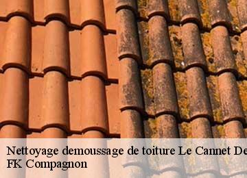 Nettoyage demoussage de toiture  le-cannet-des-maures-83340 FK Compagnon