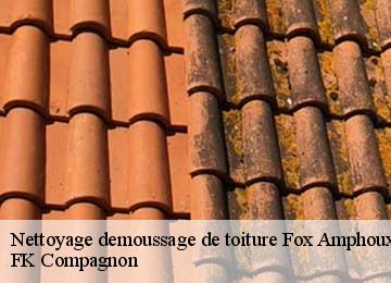 Nettoyage demoussage de toiture  fox-amphoux-83670 FK Compagnon