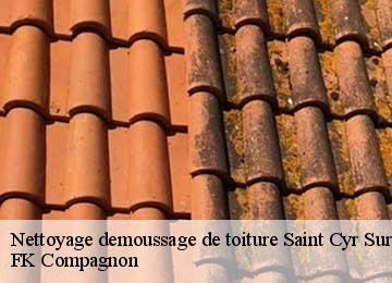 Nettoyage demoussage de toiture  saint-cyr-sur-mer-83270 FK Compagnon