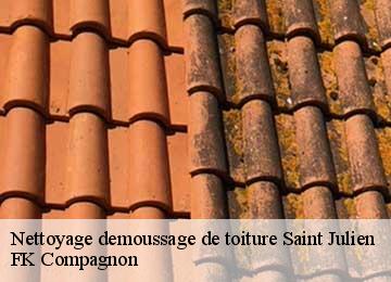 Nettoyage demoussage de toiture  saint-julien-83560 FK Compagnon