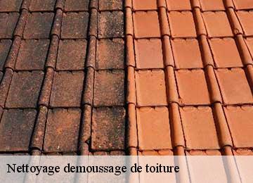 Nettoyage demoussage de toiture