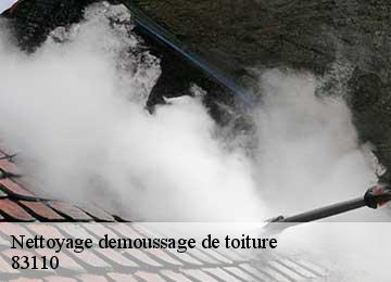 Nettoyage demoussage de toiture 83110