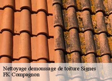 Nettoyage demoussage de toiture  signes-83870 FK Compagnon