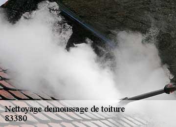 Nettoyage demoussage de toiture 83380