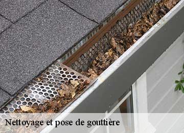 Nettoyage et pose de gouttière