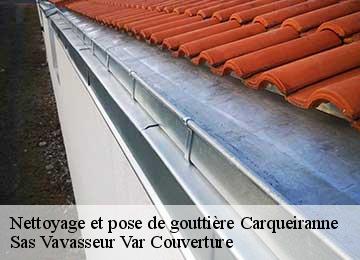Nettoyage et pose de gouttière carqueiranne-83320 Sas Vavasseur Var Couverture