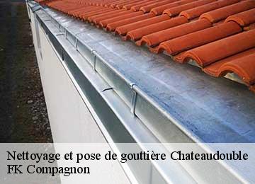 Nettoyage et pose de gouttière  chateaudouble-83300 FK Compagnon