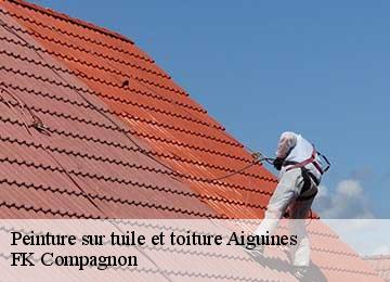 Peinture sur tuile et toiture  aiguines-83630 FK Compagnon