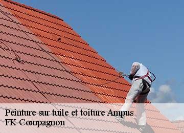 Peinture sur tuile et toiture  ampus-83111 FK Compagnon