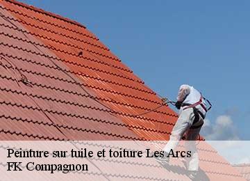 Peinture sur tuile et toiture  les-arcs-83460 FK Compagnon