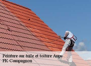 Peinture sur tuile et toiture  aups-83630 FK Compagnon