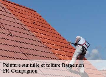 Peinture sur tuile et toiture  bargemon-83830 FK Compagnon