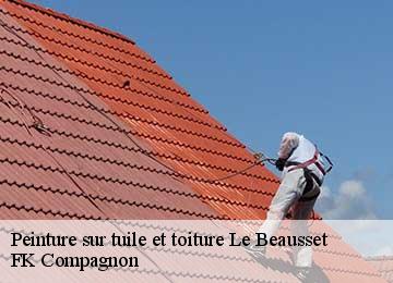 Peinture sur tuile et toiture  le-beausset-83330 FK Compagnon