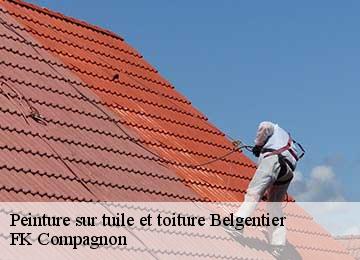 Peinture sur tuile et toiture  belgentier-83210 FK Compagnon