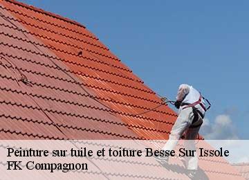 Peinture sur tuile et toiture  besse-sur-issole-83890 FK Compagnon