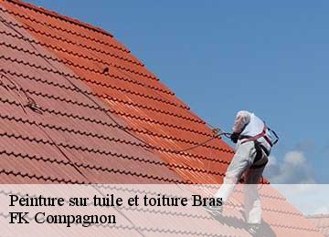 Peinture sur tuile et toiture  bras-83149 FK Compagnon