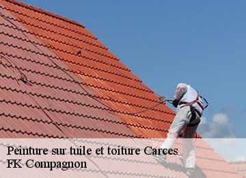 Peinture sur tuile et toiture  carces-83570 FK Compagnon