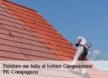 Peinture sur tuile et toiture  carqueiranne-83320 FK Compagnon