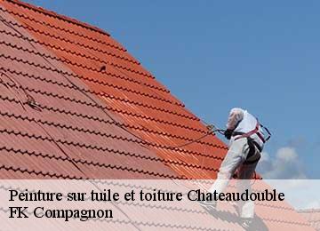 Peinture sur tuile et toiture  chateaudouble-83300 FK Compagnon