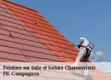 Peinture sur tuile et toiture  chateauvieux-83840 FK Compagnon