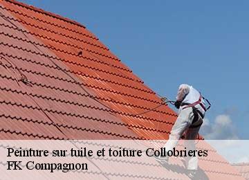 Peinture sur tuile et toiture  collobrieres-83610 FK Compagnon