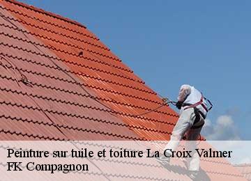 Peinture sur tuile et toiture  la-croix-valmer-83420 FK Compagnon