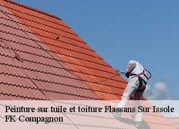 Peinture sur tuile et toiture  flassans-sur-issole-83340 FK Compagnon