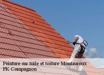 Peinture sur tuile et toiture  montauroux-83440 FK Compagnon