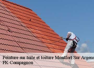 Peinture sur tuile et toiture  montfort-sur-argens-83570 FK Compagnon