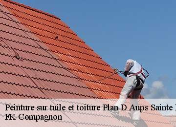 Peinture sur tuile et toiture  plan-d-aups-sainte-baume-83640 FK Compagnon