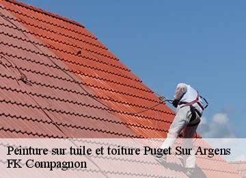 Peinture sur tuile et toiture  puget-sur-argens-83480 FK Compagnon