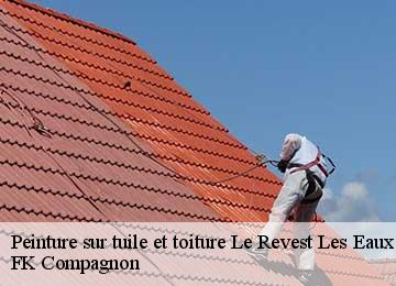 Peinture sur tuile et toiture  le-revest-les-eaux-83200 FK Compagnon