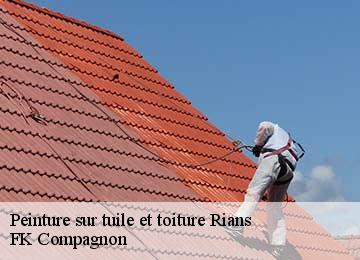 Peinture sur tuile et toiture  rians-83560 FK Compagnon