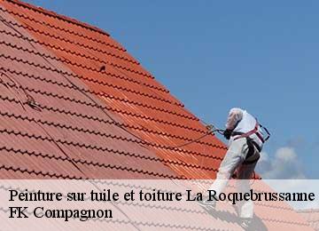 Peinture sur tuile et toiture  la-roquebrussanne-83136 FK Compagnon