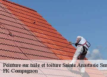 Peinture sur tuile et toiture  sainte-anastasie-sur-issole-83136 FK Compagnon