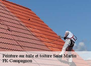 Peinture sur tuile et toiture  saint-martin-83560 FK Compagnon