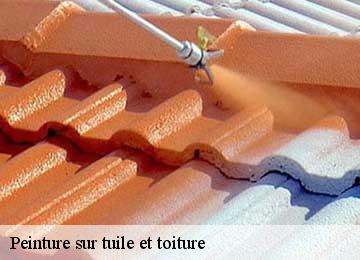 Peinture sur tuile et toiture