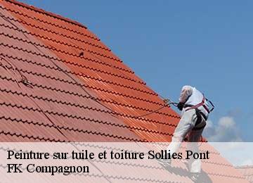 Peinture sur tuile et toiture  sollies-pont-83210 FK Compagnon