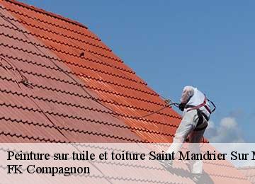 Peinture sur tuile et toiture  saint-mandrier-sur-mer-83430 FK Compagnon