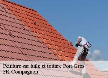 Peinture sur tuile et toiture  port-gros-83400 FK Compagnon