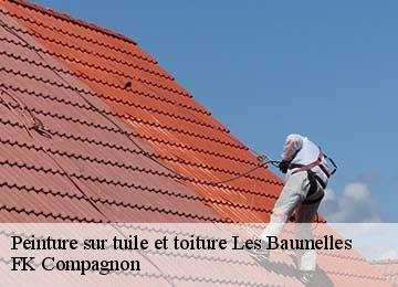 Peinture sur tuile et toiture  les-baumelles-83270 FK Compagnon