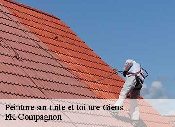 Peinture sur tuile et toiture  giens-83400 FK Compagnon