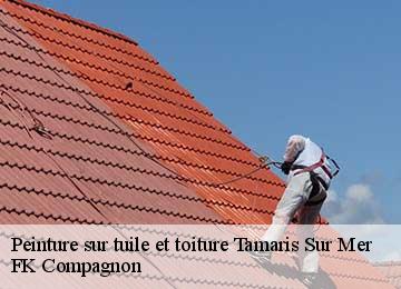 Peinture sur tuile et toiture  tamaris-sur-mer-83500 FK Compagnon