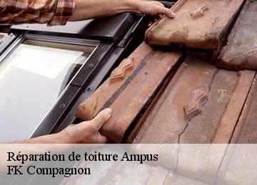 Réparation de toiture  ampus-83111 FK Compagnon